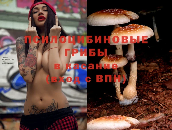 spice Богданович