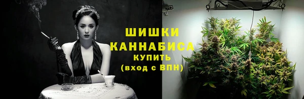spice Богданович
