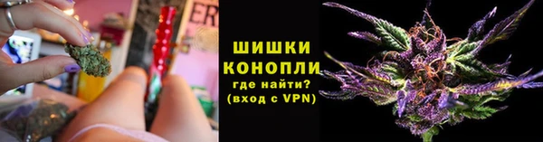 spice Богданович