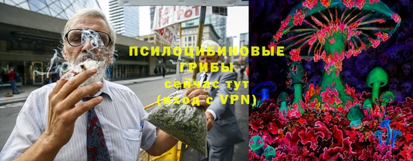 spice Богданович