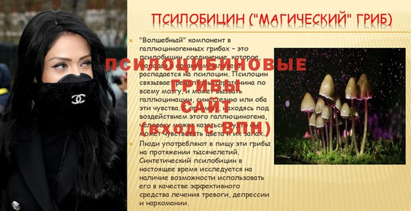 метадон Богородицк