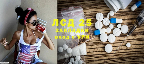 spice Богданович