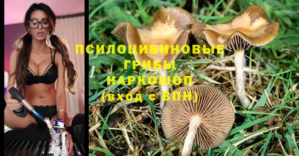 spice Богданович