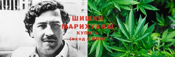 метадон Богородицк