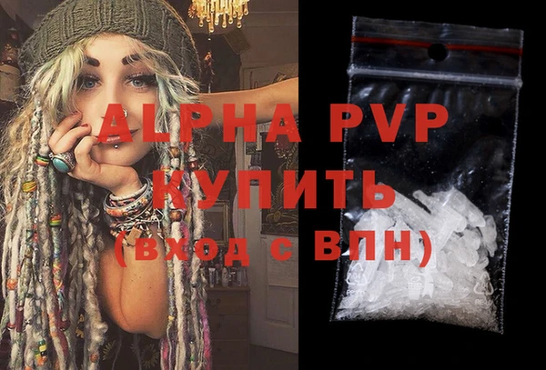 spice Богданович